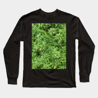 Green Moss Nature Forest Long Sleeve T-Shirt